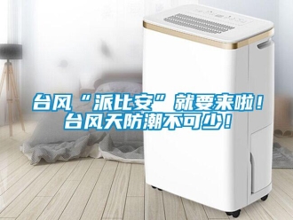 知識(shí)百科臺(tái)風(fēng)“派比安”就要來啦！臺(tái)風(fēng)天防潮不可少！