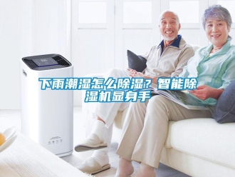 常見問題下雨潮濕怎么除濕？智能除濕機(jī)顯身手