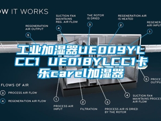 企業(yè)新聞工業(yè)加濕器UE009YLCC1 UE018YLCC1卡樂carel加濕器