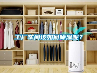常見(jiàn)問(wèn)題工廠車間該如何除濕呢？