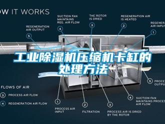 企業(yè)新聞工業(yè)除濕機(jī)壓縮機(jī)卡缸的處理方法