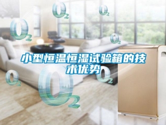知識百科小型恒溫恒濕試驗(yàn)箱的技術(shù)優(yōu)勢