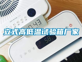 常見問題立式高低溫試驗(yàn)箱廠家