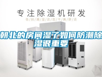 企業(yè)新聞朝北的房間濕了如何防潮除濕很重要