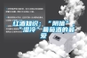 紅酒知識：“陰暗”、“濕冷”葡萄酒的最愛