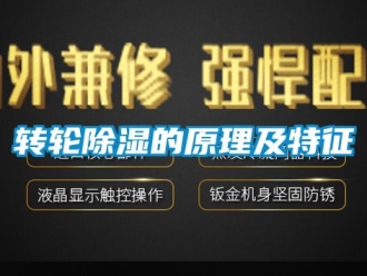 常見問題轉(zhuǎn)輪除濕的原理及特征