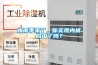 梅雨季來(lái)了，你實(shí)現(xiàn)內(nèi)褲自由了嗎？