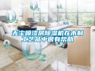 知識百科無塵噴漆房除濕機在木制工藝品中很有幫助