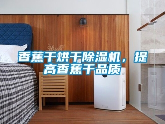 行業(yè)新聞香蕉干烘干除濕機(jī)，提高香蕉干品質(zhì)