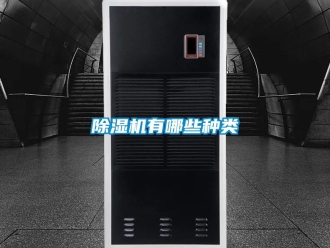 行業(yè)新聞除濕機有哪些種類