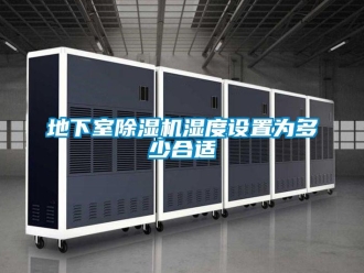 行業(yè)新聞地下室除濕機濕度設(shè)置為多少合適