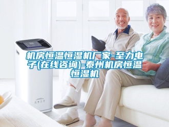 知識(shí)百科機(jī)房恒溫恒濕機(jī)廠家-至力電子(在線咨詢)-泰州機(jī)房恒溫恒濕機(jī)