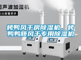 行業(yè)新聞烤鴨風(fēng)干房除濕機(jī)，烤鴨鴨胚風(fēng)干專用除濕機(jī)