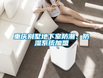 企業(yè)新聞重慶別墅地下室防潮、防濕系統(tǒng)加盟
