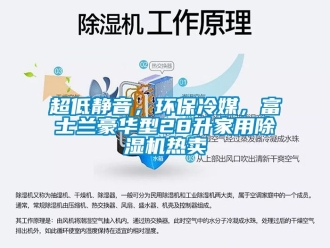 常見問題超低靜音，環(huán)保冷媒，富士蘭豪華型28升家用除濕機熱賣