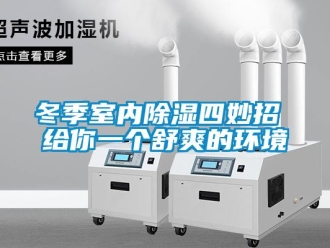 企業(yè)新聞冬季室內(nèi)除濕四妙招 給你一個(gè)舒爽的環(huán)境