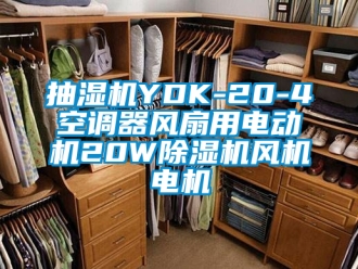 企業(yè)新聞抽濕機(jī)YDK-20-4空調(diào)器風(fēng)扇用電動機(jī)20W除濕機(jī)風(fēng)機(jī)電機(jī)