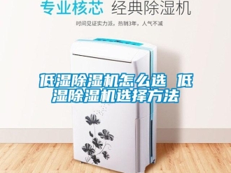 行業(yè)新聞低濕除濕機怎么選 低濕除濕機選擇方法