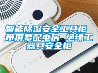 行業(yè)新聞智能除濕安全工具柜 帶屏幕配電房 絕緣工器具安全柜