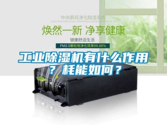 常見問題工業(yè)除濕機有什么作用？耗能如何？