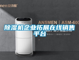 常見問題除濕機企業(yè)拓展在線銷售平臺