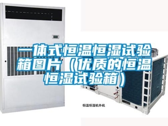 知識百科一體式恒溫恒濕試驗箱圖片（優(yōu)質的恒溫恒濕試驗箱）