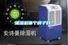 抽濕機哪個牌子好？