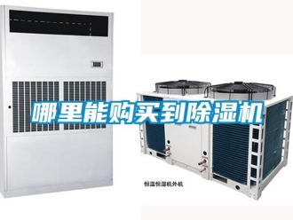 行業(yè)新聞哪里能購買到除濕機