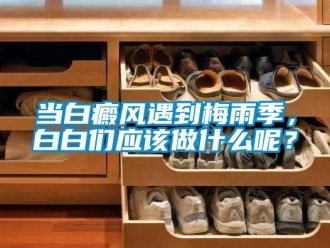 企業(yè)新聞當(dāng)白癜風(fēng)遇到梅雨季，白白們應(yīng)該做什么呢？