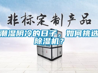 常見問題潮濕陰冷的日子，如何挑選除濕機？