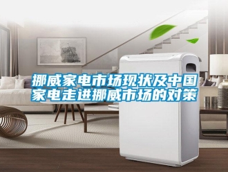 行業(yè)新聞挪威家電市場現(xiàn)狀及中國家電走進(jìn)挪威市場的對(duì)策