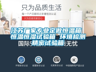 知識百科江蘇廠家專業(yè)定做恒溫箱 恒溫恒濕試驗箱 環(huán)境檢測精密試驗箱