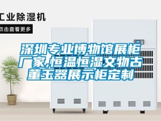 知識(shí)百科深圳專業(yè)博物館展柜廠家,恒溫恒濕文物古董玉器展示柜定制