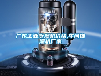 企業(yè)新聞廣東工業(yè)除濕機(jī)價(jià)格,車間抽濕機(jī)廠家
