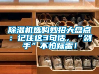 行業(yè)新聞除濕機選購妙招大盤點：記住這3句話，“剁手”不怕踩雷！