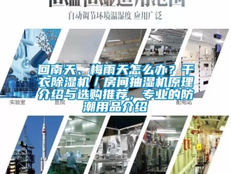 行業(yè)新聞回南天、梅雨天怎么辦？干衣除濕機(jī)／房間抽濕機(jī)原理介紹與選購(gòu)?fù)扑]，專業(yè)的防潮用品介紹