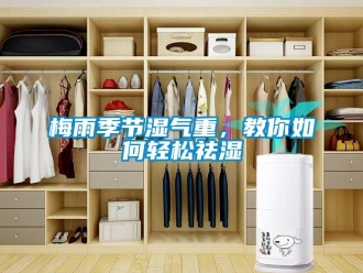 常見問題梅雨季節(jié)濕氣重，教你如何輕松祛濕