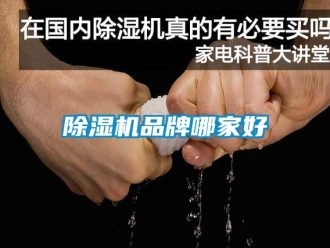 企業(yè)新聞除濕機(jī)品牌哪家好