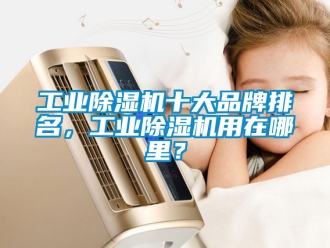 常見問題工業(yè)除濕機(jī)十大品牌排名，工業(yè)除濕機(jī)用在哪里？