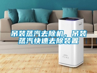 企業(yè)新聞吊裝蒸汽去除機(jī)，吊裝蒸汽快速去除裝置
