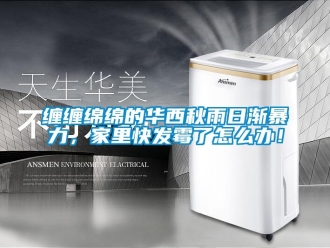 常見問題纏纏綿綿的華西秋雨日漸暴力，家里快發(fā)霉了怎么辦！