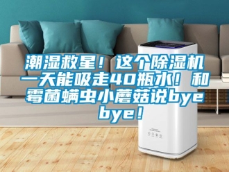 企業(yè)新聞潮濕救星！這個除濕機一天能吸走40瓶水！和霉菌螨蟲小蘑菇說bye bye！