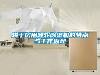 常見問題烘干房用轉(zhuǎn)輪除濕機(jī)的特點(diǎn)與工作原理