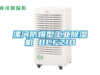 企業(yè)新聞漯河防爆型工業(yè)除濕機(jī) BCFZ10