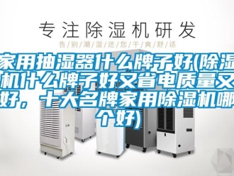 常見問題家用抽濕器什么牌子好(除濕機(jī)什么牌子好又省電質(zhì)量又好，十大名牌家用除濕機(jī)哪個好)