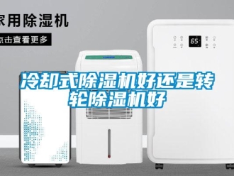 行業(yè)新聞冷卻式除濕機(jī)好還是轉(zhuǎn)輪除濕機(jī)好