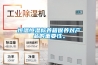 恒溫恒濕標(biāo)養(yǎng)箱保養(yǎng)對產(chǎn)品的重要性。