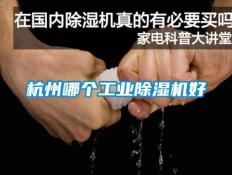 常見問題杭州哪個工業(yè)除濕機好