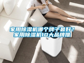 企業(yè)新聞家用除濕機(jī)哪個(gè)牌子最好？家用除濕機(jī)10大品牌推
