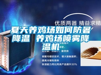 常見問題夏天養(yǎng)雞場(chǎng)如何防暑降溫 養(yǎng)雞場(chǎng)噴霧降溫機(jī)